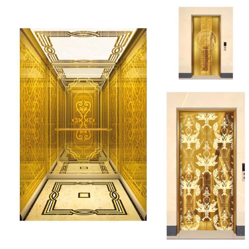 Fujivista Cabine Do Elevador Home Elevator Domestic Lifts Mrl Villa Lift with LED Design - Image 2