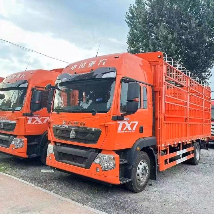 HOWO Tx 4*2 Light Duty Cargo Truck High Efficiency Fuel Saving Reliable Transport Vehicle - Image 3
