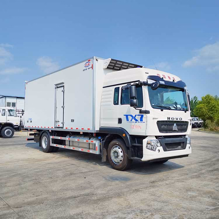 HOWO Tx 4*2 Light Duty Cargo Truck High Efficiency Fuel Saving Reliable Transport Vehicle - Image 2