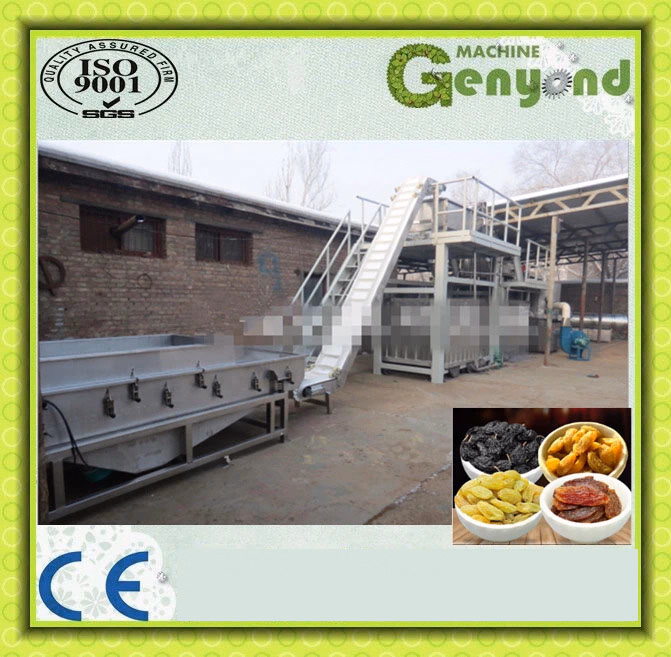 Raisin Production Line - Image 3