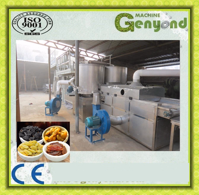 Raisin Production Line - Image 2