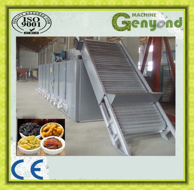Raisin Production Line - Image 1
