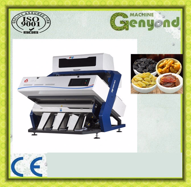 Raisin Production Line - Image 5
