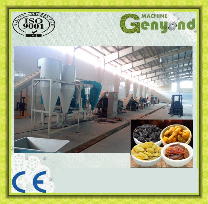 Raisin Production Line - Image 4