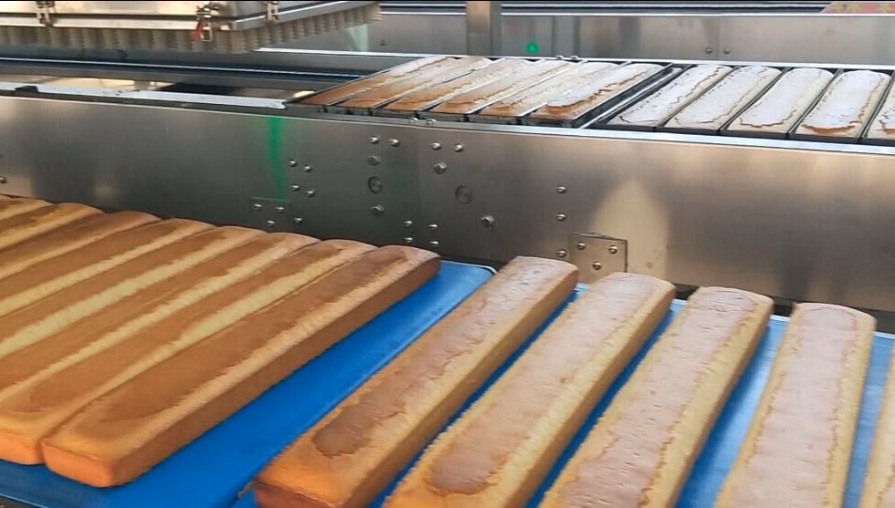 Bakery Twinky Cake Production Line Twinky Cake Making Machine - Image 5