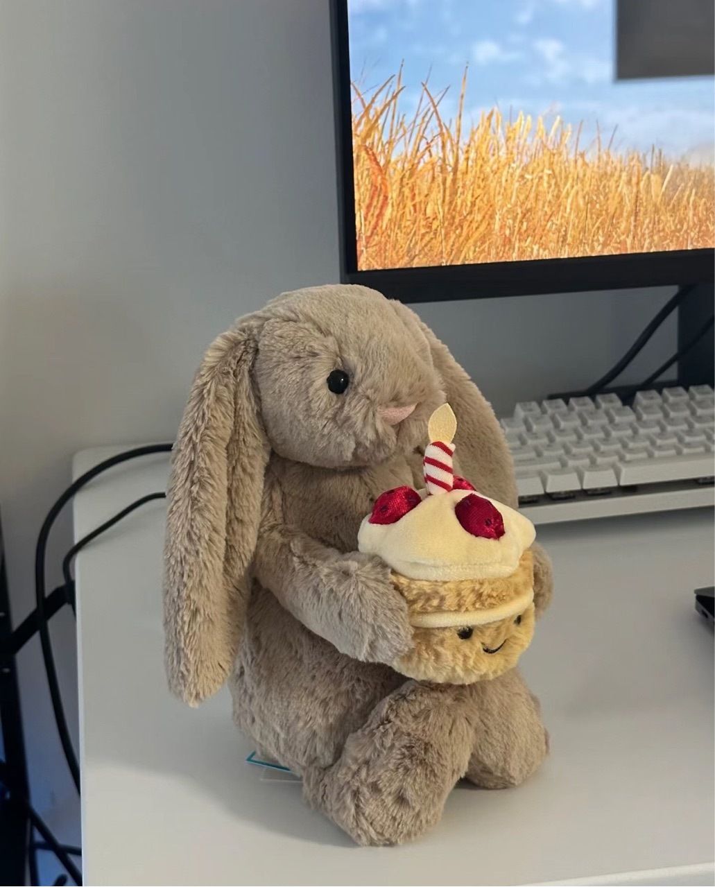 Dolls jellys cat New Hing Bonnie Toy Birthday Cake Plush Shy Rabbit Cute Soothing Doll Bashful Beige Bunny 'Birthday' - Image 4