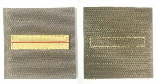 Cabinet circa 1900 Ad. Braun. Un académicien grand-croix de la Légion d'Honneur. - Image 4