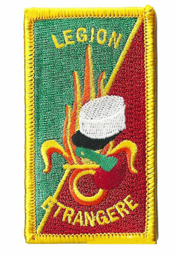 Cabinet circa 1900 Ad. Braun. Un académicien grand-croix de la Légion d'Honneur. - Image 8