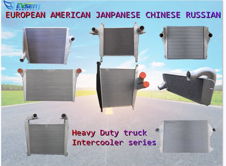 Cooling System Radiator Heavy Duty Truckoe4859605001 Spi4401-1722 Fr-07 Core Size94066650 for Freightliner C120 Series - Image 6