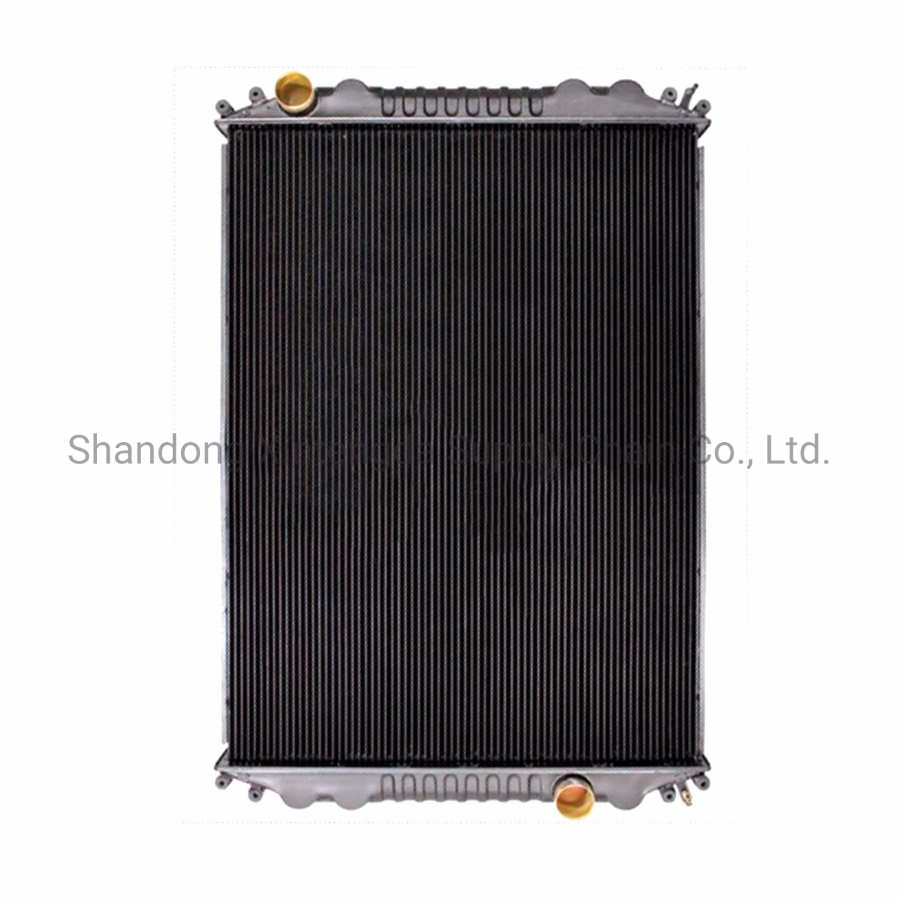 China Customized D3047 D9550 800032 Tr9139 7157cdm Water Radiator for Freightliner Columbia - Image 6