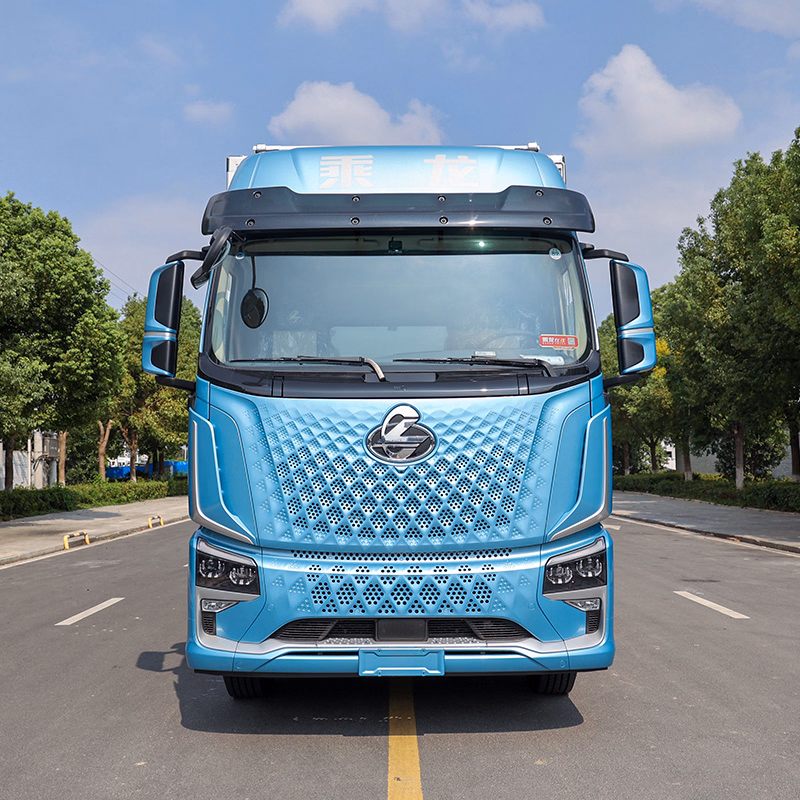 4*2 6X4 Freightliner Refrigerated Truck Food Trucks for Vegetables and Fruits Transportation - Image 4