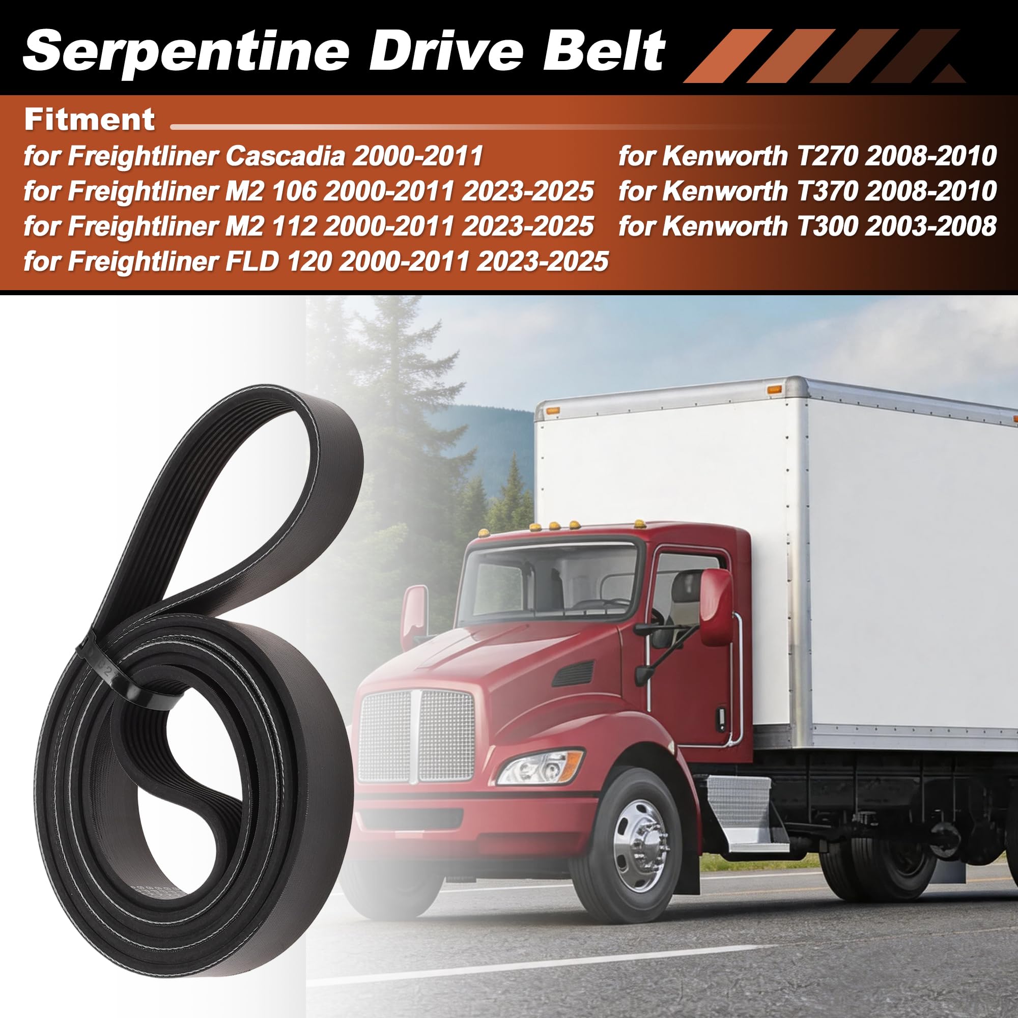 Courroie Serpentine 8 Côtes Pour Freightliner Cascadia 2000-2011 | K080855HD, 1pc, EPDM, pour Freightliner M2 106, M2 112, FLD 120 00-11 23-25, pour Kenworth T270, T370 08-10, T300 03-08 - Image 2