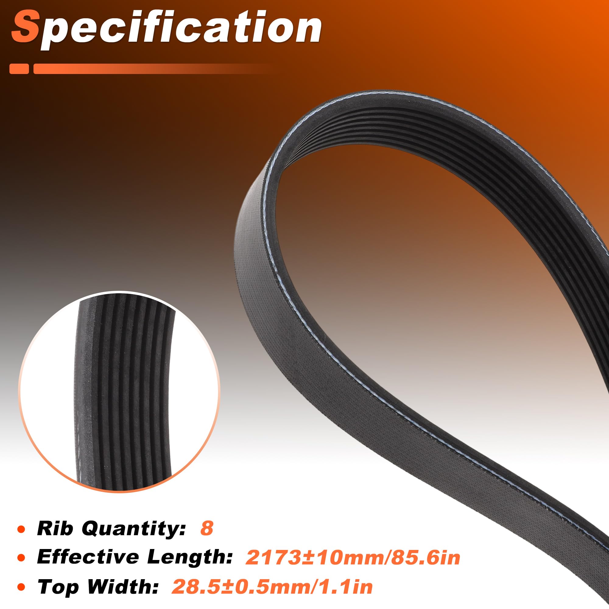 Courroie Serpentine 8 Côtes Pour Freightliner Cascadia 2000-2011 | K080855HD, 1pc, EPDM, pour Freightliner M2 106, M2 112, FLD 120 00-11 23-25, pour Kenworth T270, T370 08-10, T300 03-08 - Image 6